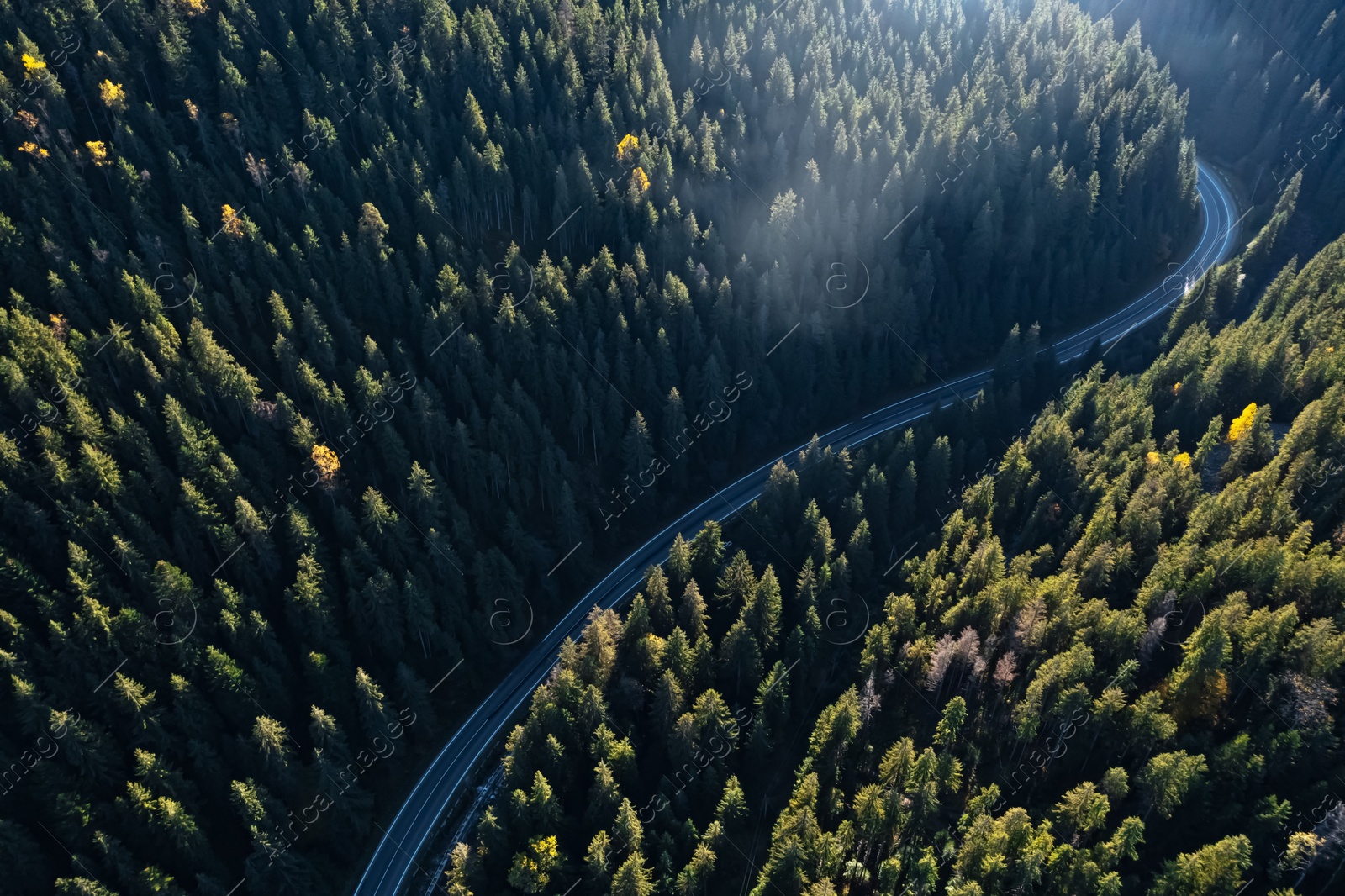 Image of Aerial view of asphalt road surrounded by coniferous forest on sunny day. Drone photography