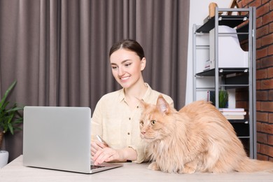 Photo of Woman working at desk, focus on cat. Home office