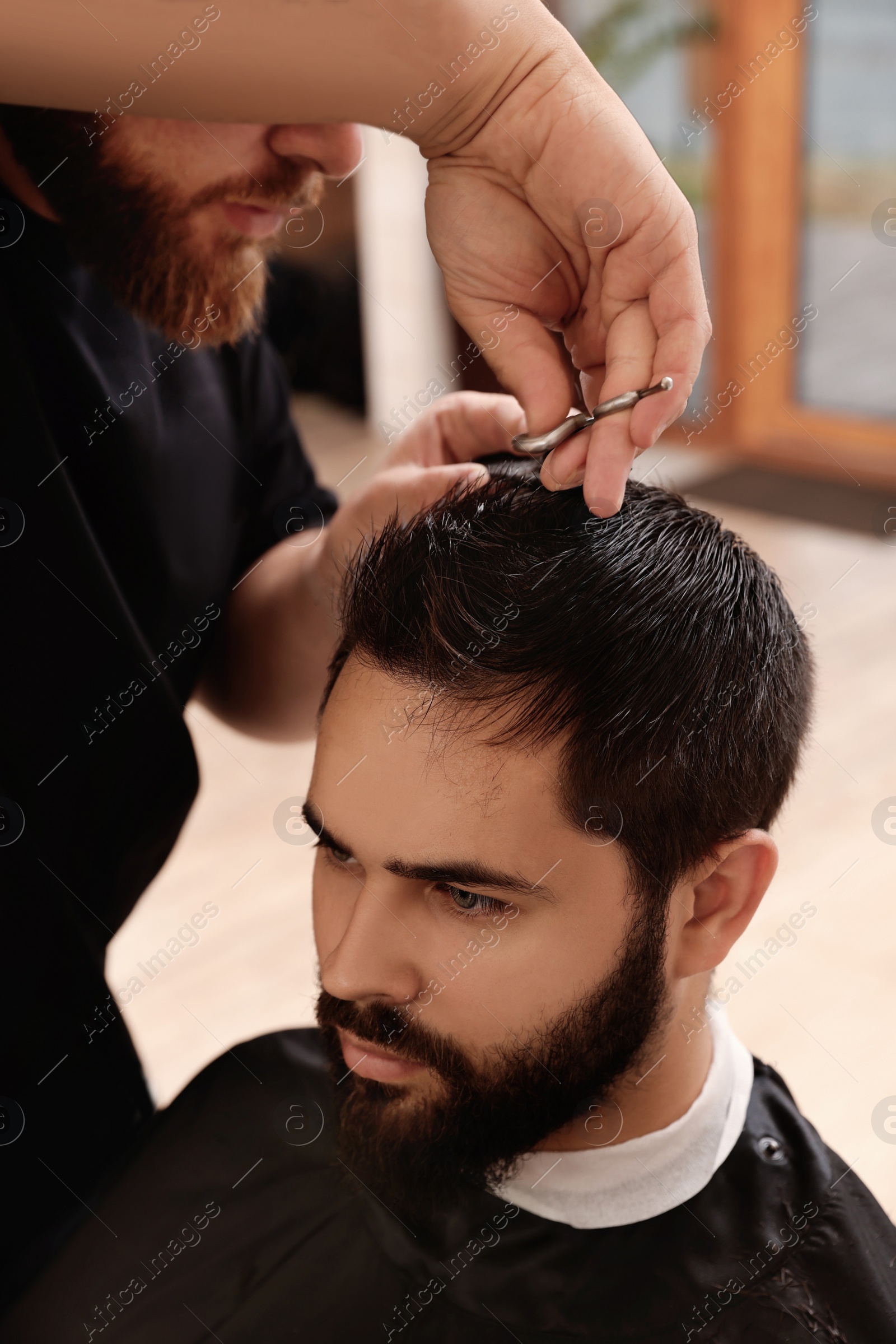 Photo of Professional hairdresser working with client in barbershop, closeup