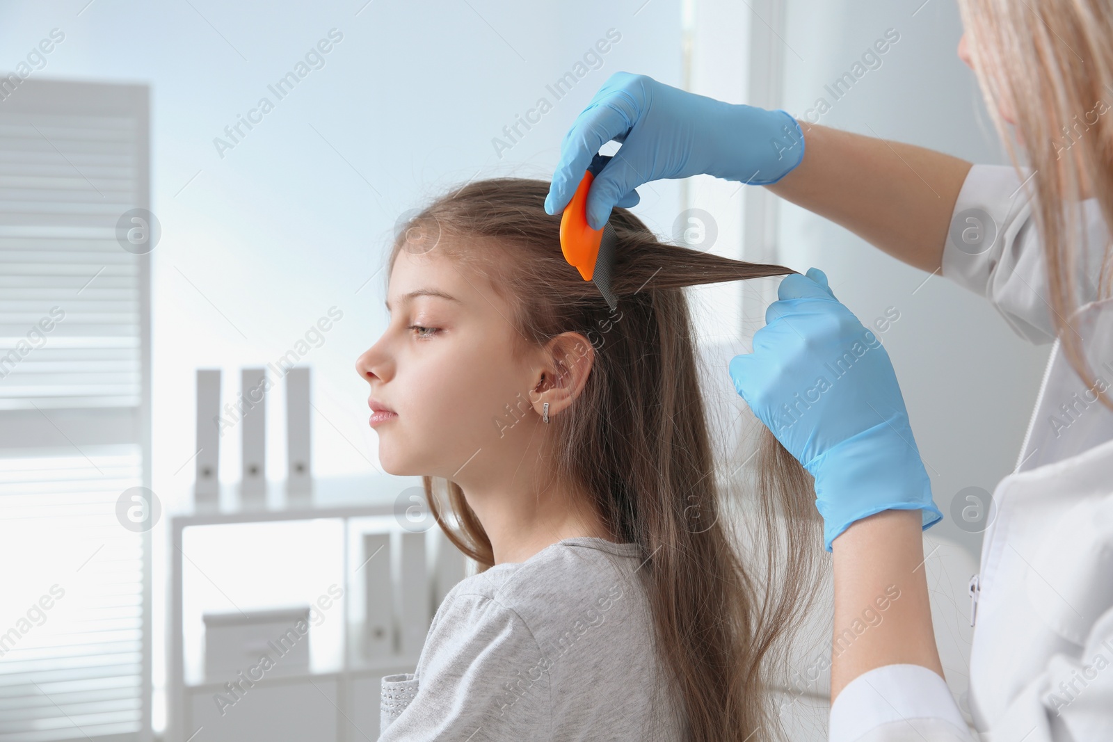 Photo of Doctor using nit comb on girl's hair in clinic. Anti lice treatment