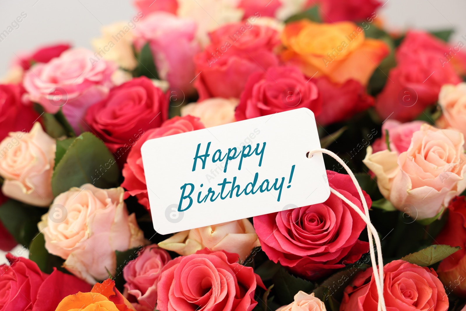 Image of Bouquet of beautiful roses with Happy Birthday card, closeup