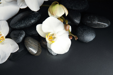 Photo of Stones and orchid flowers in water on black background. Zen lifestyle