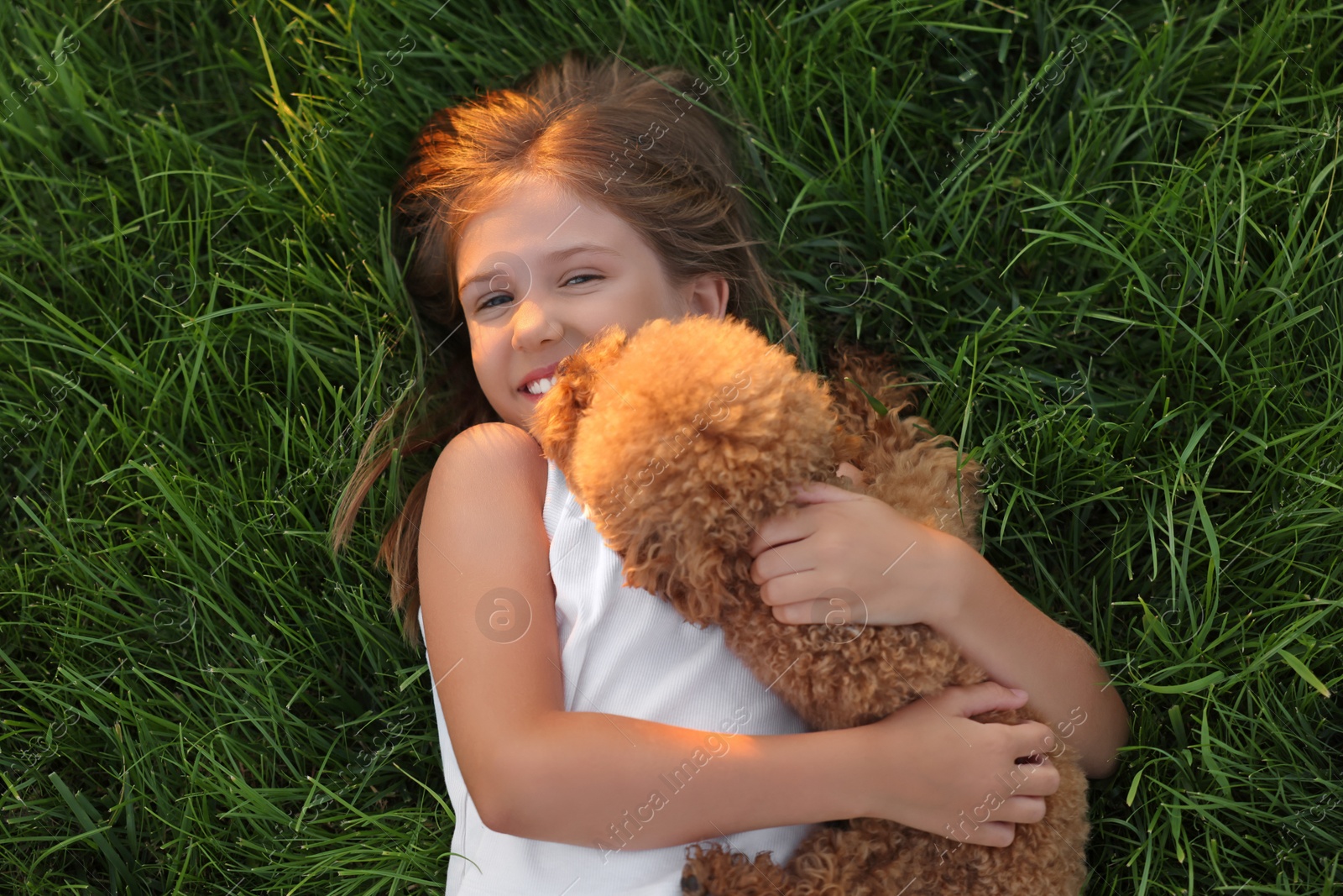 Photo of Beautiful girl with cute Maltipoo dog on green lawn outdoors, top view