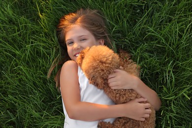 Photo of Beautiful girl with cute Maltipoo dog on green lawn outdoors, top view