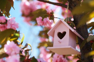 Pink bird house with heart shaped hole hanging on tree branch outdoors. Space for text