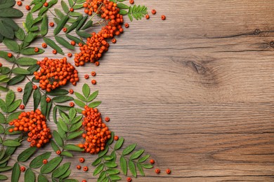 Photo of Fresh ripe rowan berries and green leaves on wooden table, flat lay. Space for text