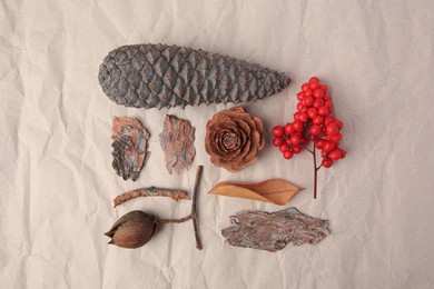 Photo of Tree bark pieces, cones and viburnum on beige background, flat lay