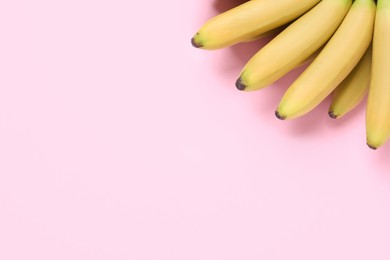 Bunch of ripe baby bananas on pink background, top view. Space for text