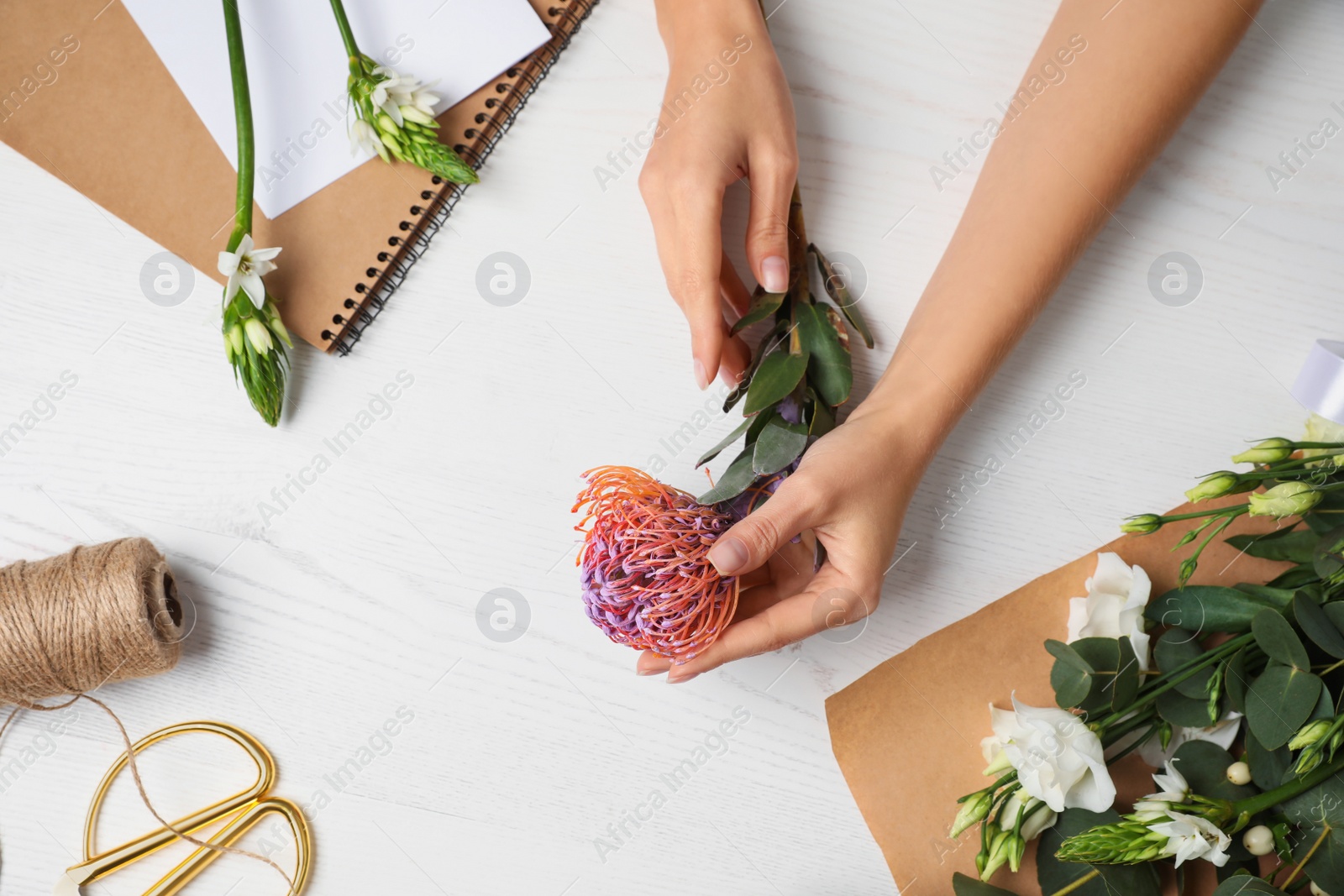 Photo of Florist holding beautiful leucospermum flower at white wooden table, top view