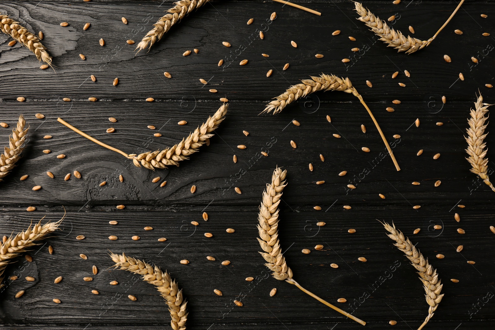 Photo of Flat lay composition with ears of wheat on black wooden table