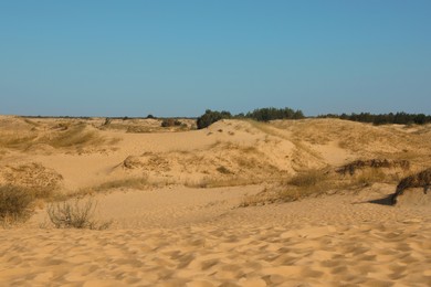 Picturesque view of desert on sunny day