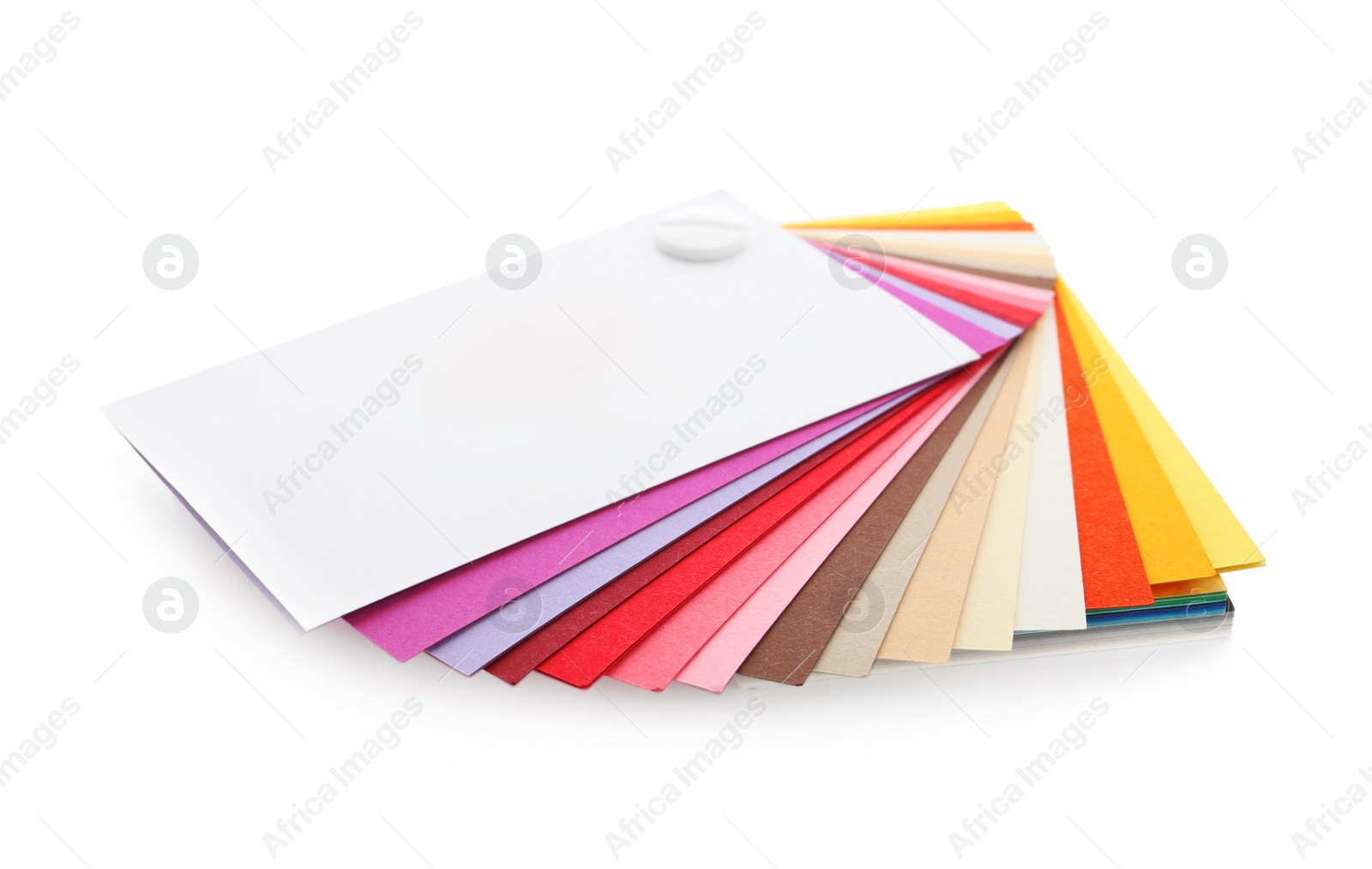 Photo of Color palette isolated on white. Professional samples