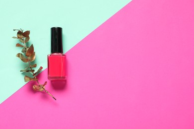 Nail polish and golden branch on color background, top view. Space for text