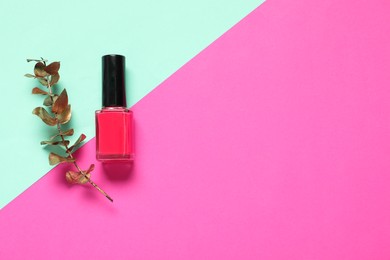 Photo of Nail polish and golden branch on color background, top view. Space for text