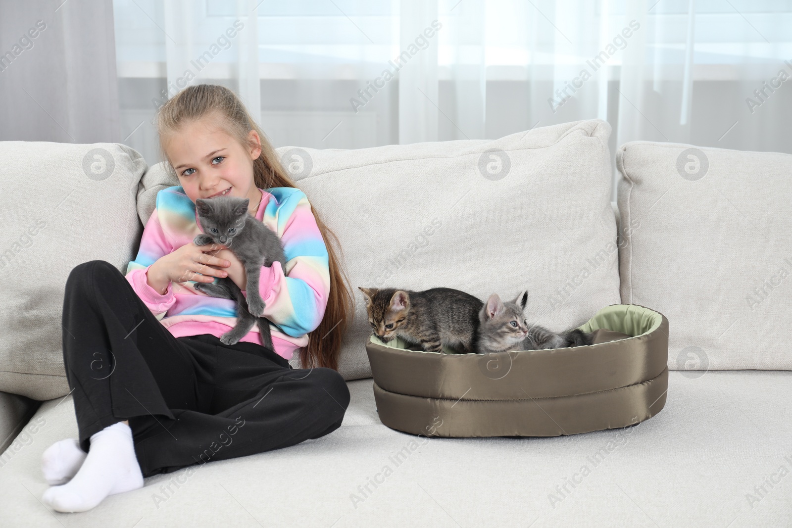 Photo of Little girl with cute fluffy kittens on sofa indoors