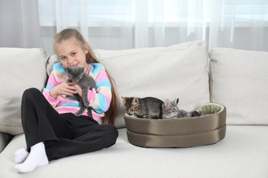 Little girl with cute fluffy kittens on sofa indoors