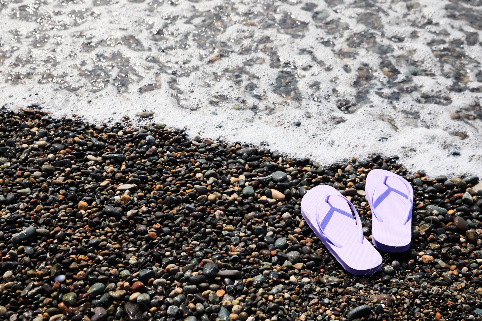 Photo of Stylish lilac flip lops on pebble beach near sea. Space for text