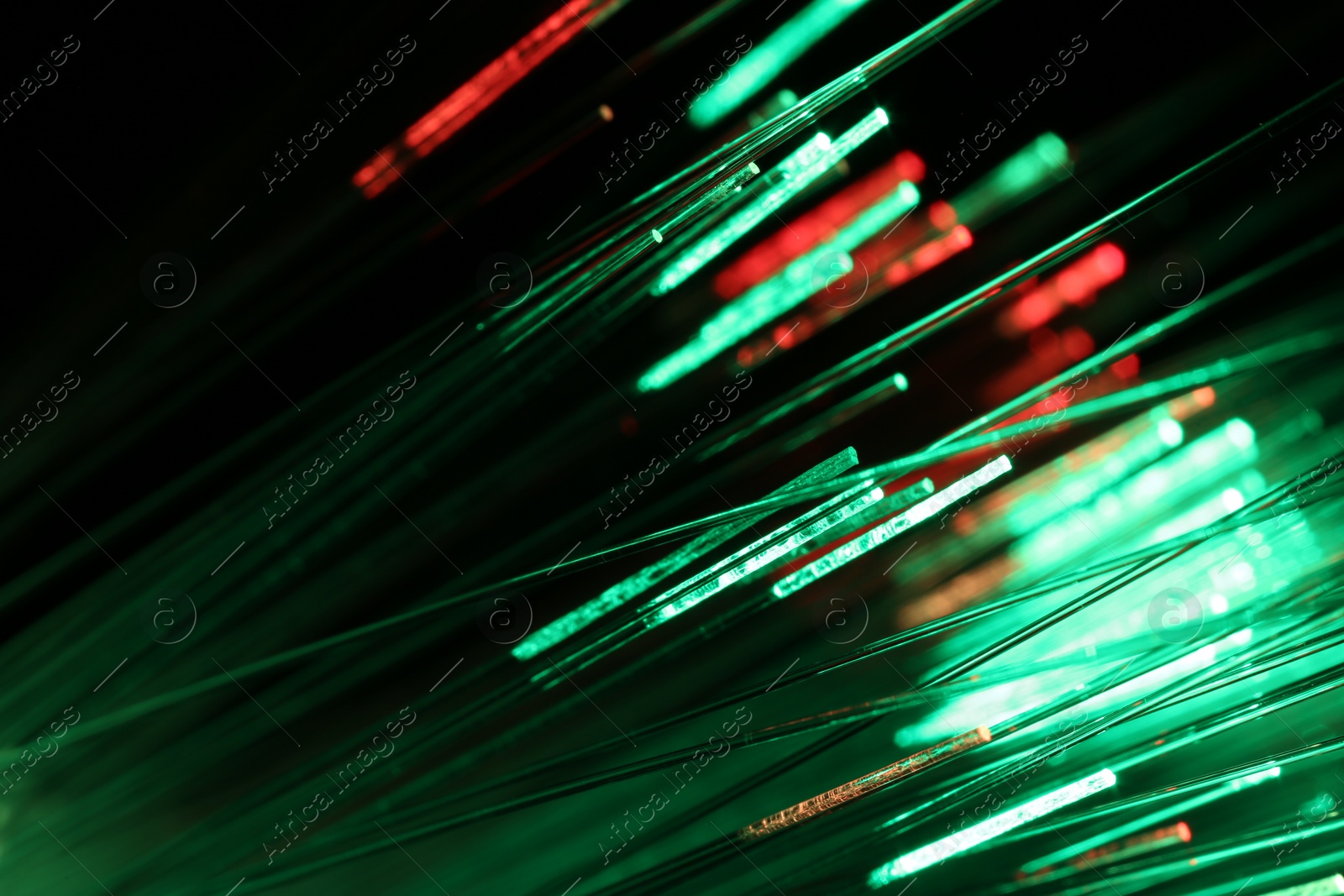 Photo of Optical fiber strands transmitting different color lights on black background, macro view