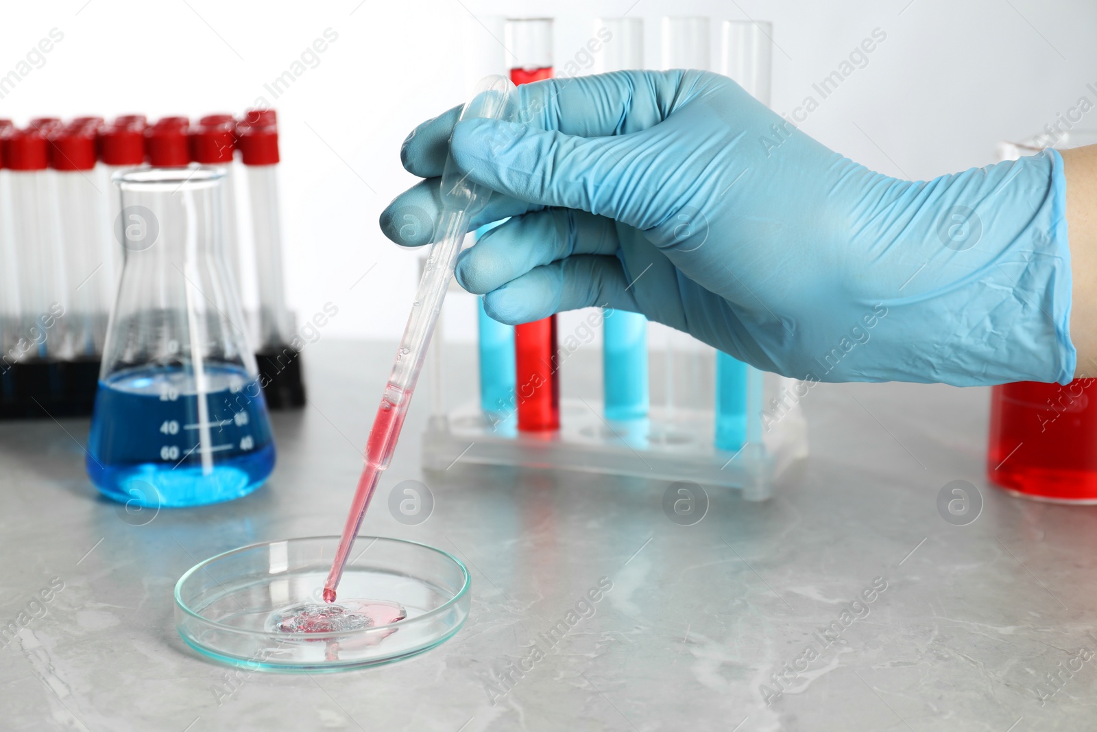 Photo of Scientist dripping liquid from pipette into petri dish at grey marble table, closeup