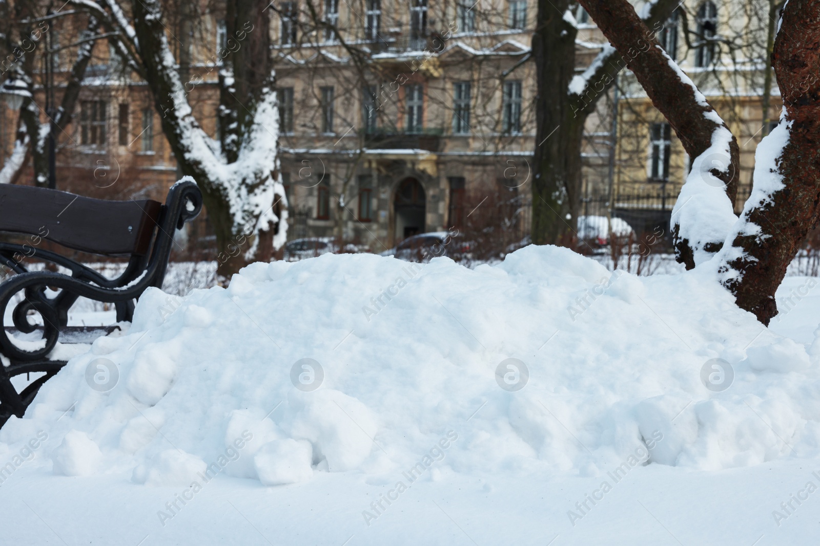 Photo of Pile of snow, trees and building in winter park