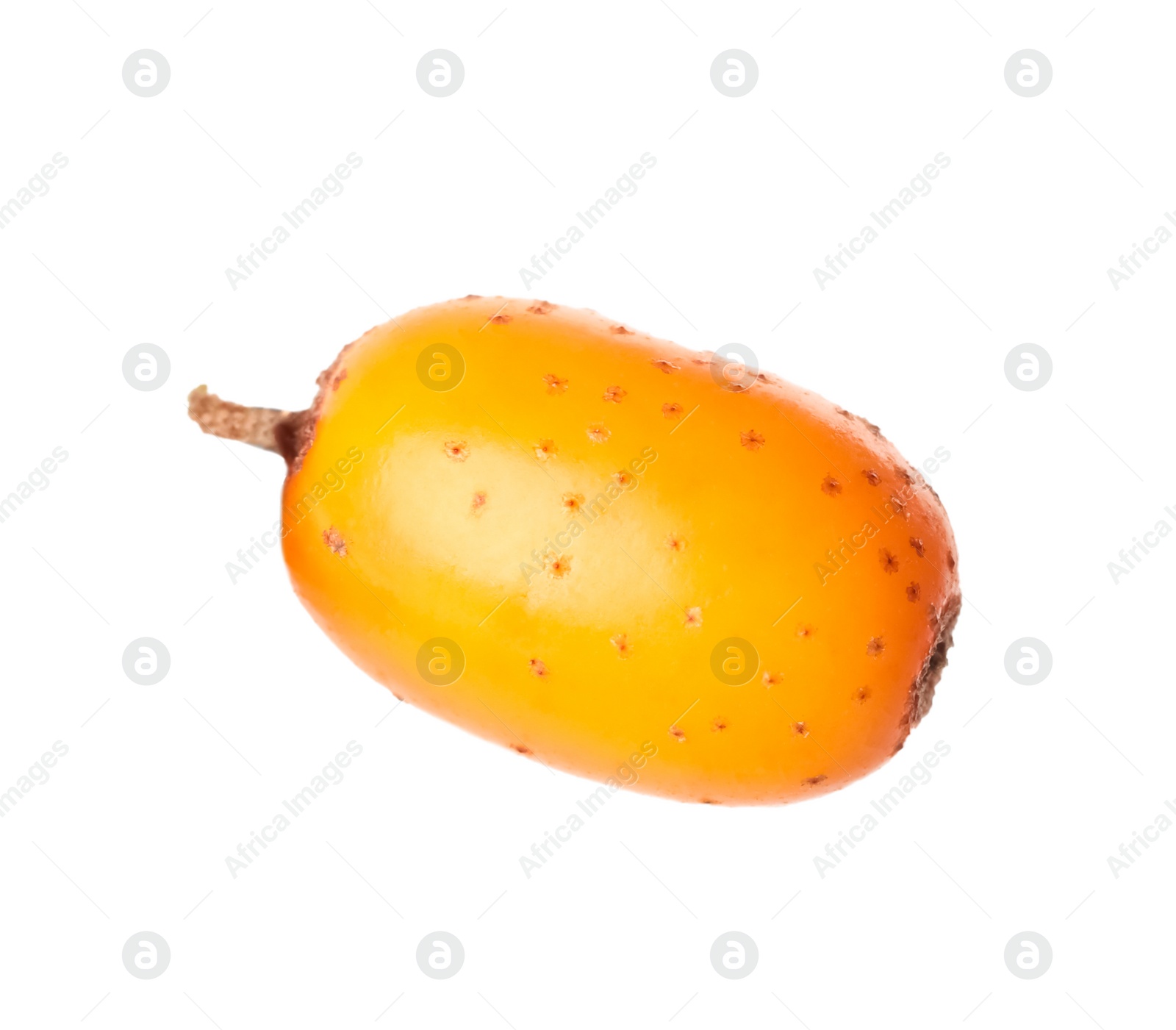 Photo of Fresh ripe sea buckthorn berry isolated on white