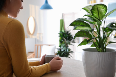 Woman with drink at table in kitchen decorated with plants. Home design