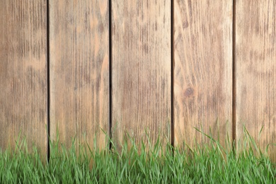 Photo of Fresh green grass near wooden fence. Space for text