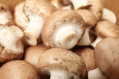 Photo of Fresh raw champignon mushrooms as background, closeup