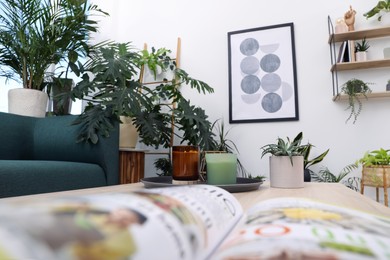 Photo of Living room interior with modern furniture and beautiful houseplants, view from magazine