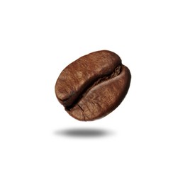 Brown roasted coffee bean on white background 