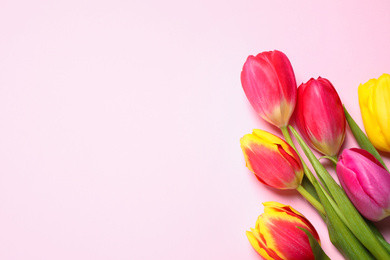 Photo of Beautiful spring tulips on pink background, flat lay. Space for text