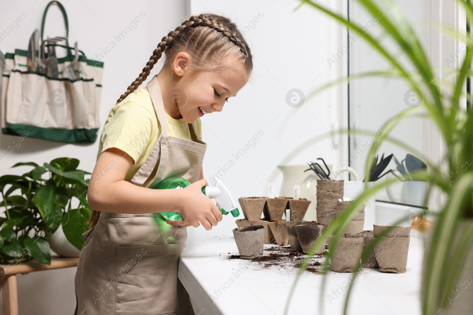 Photo of Little girl spraying water onto vegetable seeds in peat pots on window sill indoors