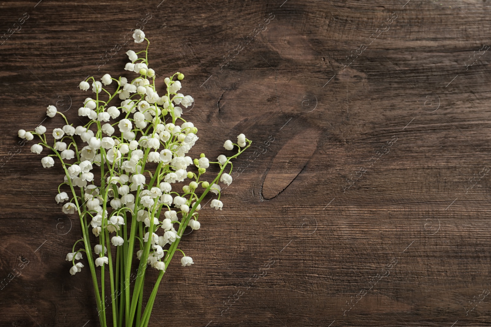 Photo of Fresh spring flowers on wooden background, top view