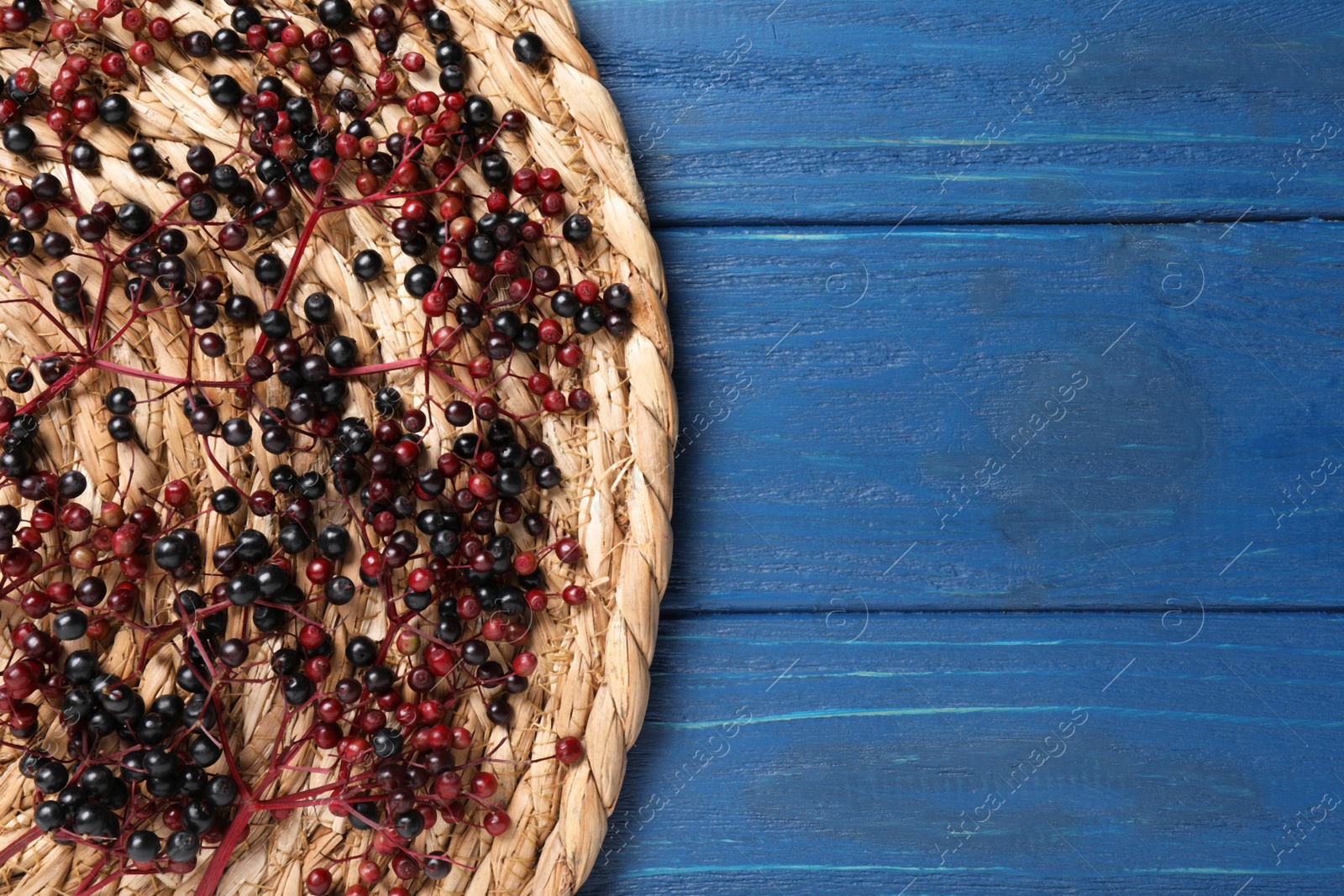 Photo of Wicker mat with ripe elderberries on blue wooden table, top view. Space for text