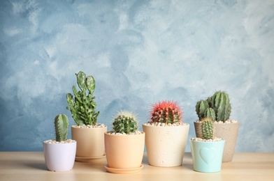 Photo of Beautiful cacti on table against color wall