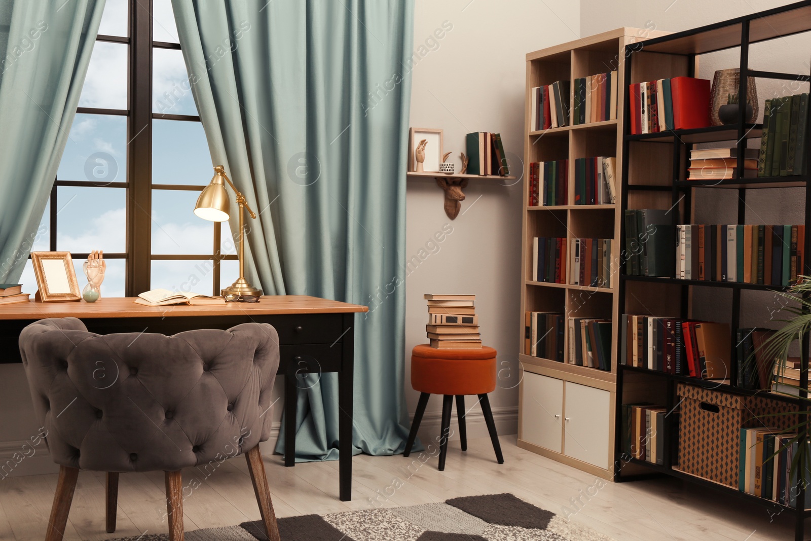 Photo of Cozy home library interior with collection of different books on shelves