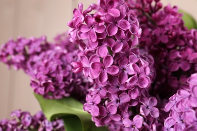 Beautiful blooming lilac flowers on blurred background, closeup