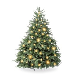 Image of Christmas tree decorated and festive lights isolated on white