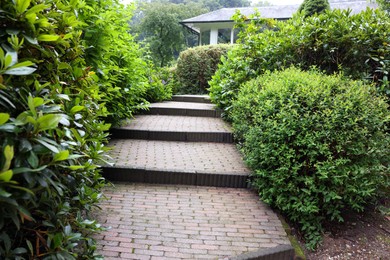 Lovely garden with green shrubbery and paved stairs. Landscape design