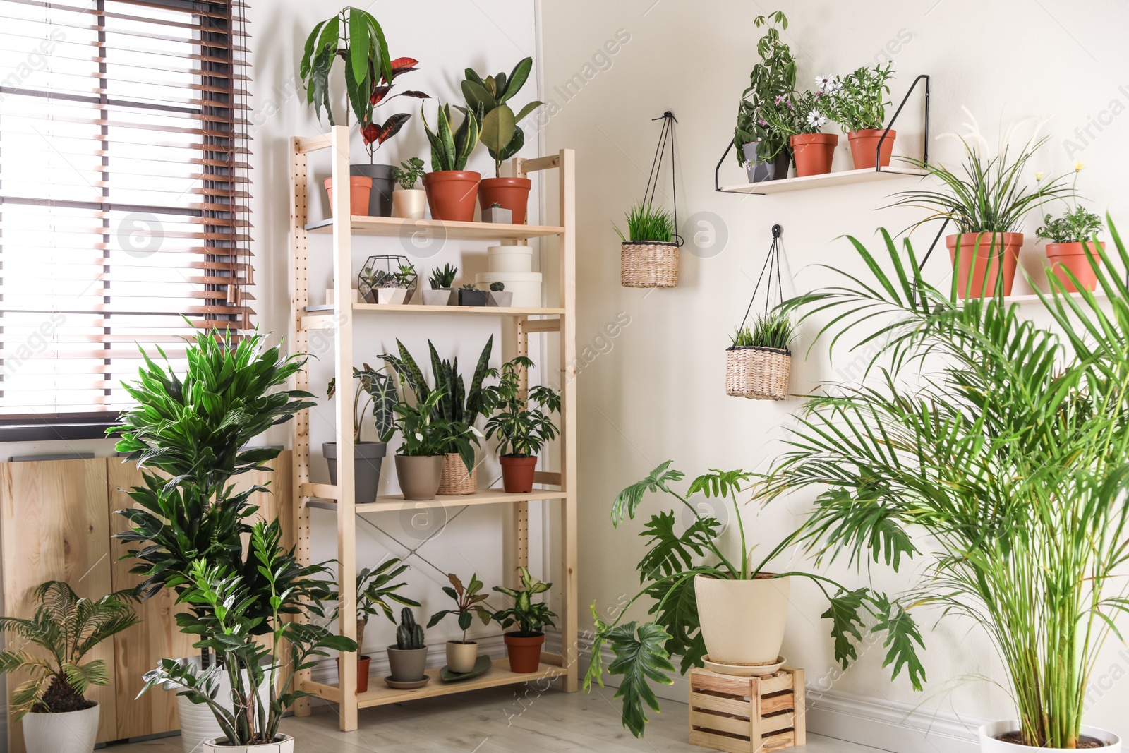 Photo of Stylish room interior with different home plants