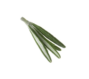 Fresh green rosemary leaves on white background