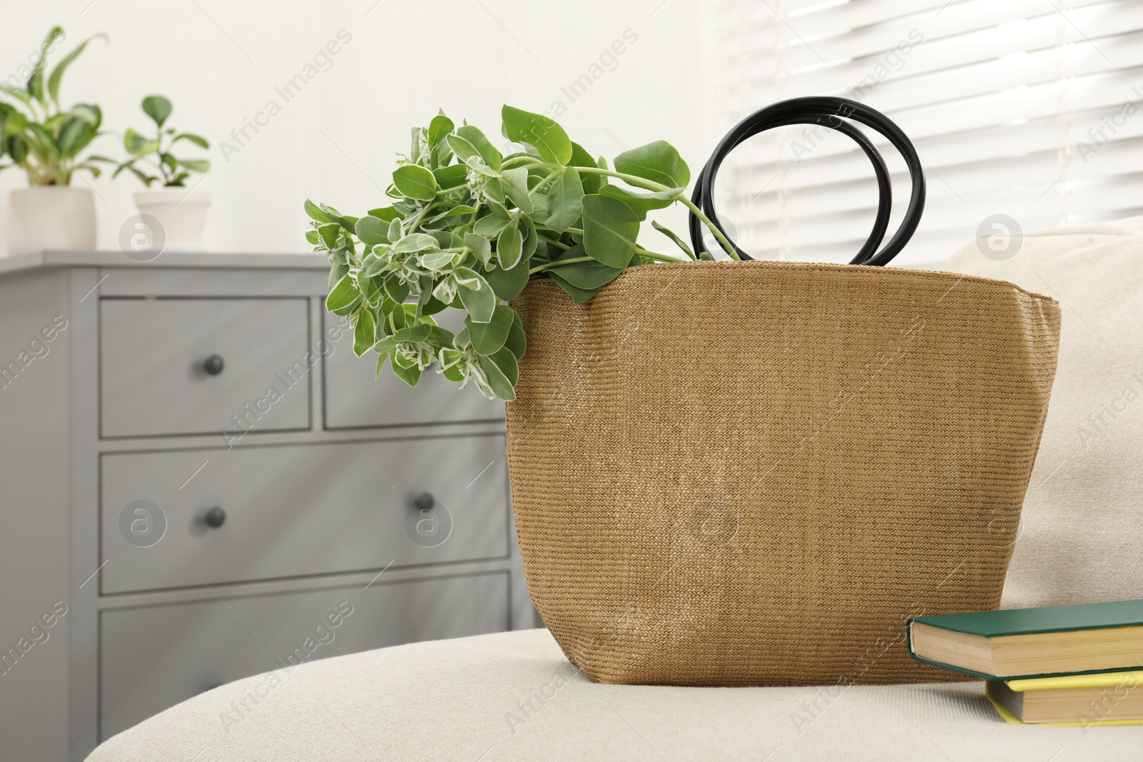 Photo of Stylish beach bag with plant and books on sofa in room