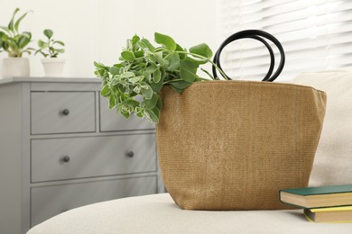 Stylish beach bag with plant and books on sofa in room