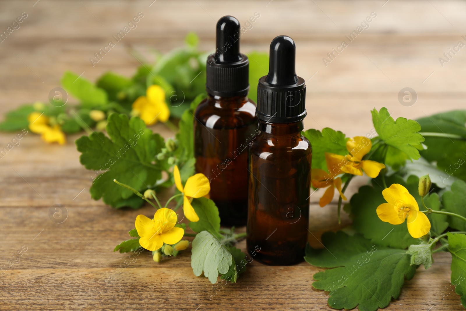 Photo of Bottles of natural celandine oil near flowers on wooden table