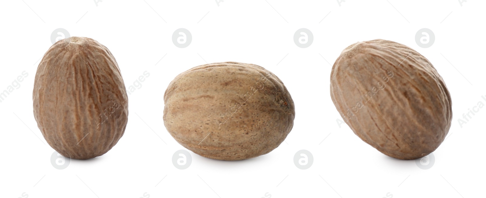 Image of Set with nutmeg seeds on white background. Banner design