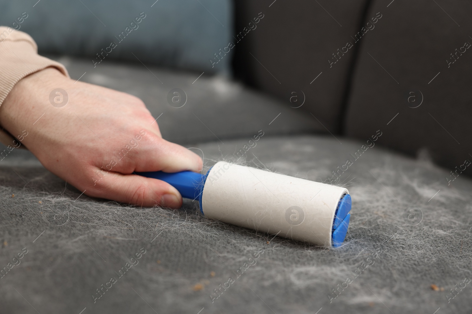 Photo of Pet shedding. Man with lint roller removing dog's hair from sofa, closeup