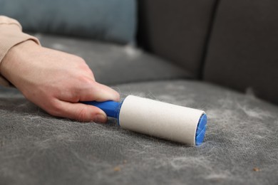 Pet shedding. Man with lint roller removing dog's hair from sofa, closeup