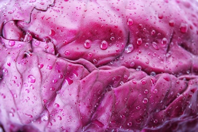 Photo of Ripe red cabbage with water drops as background, closeup
