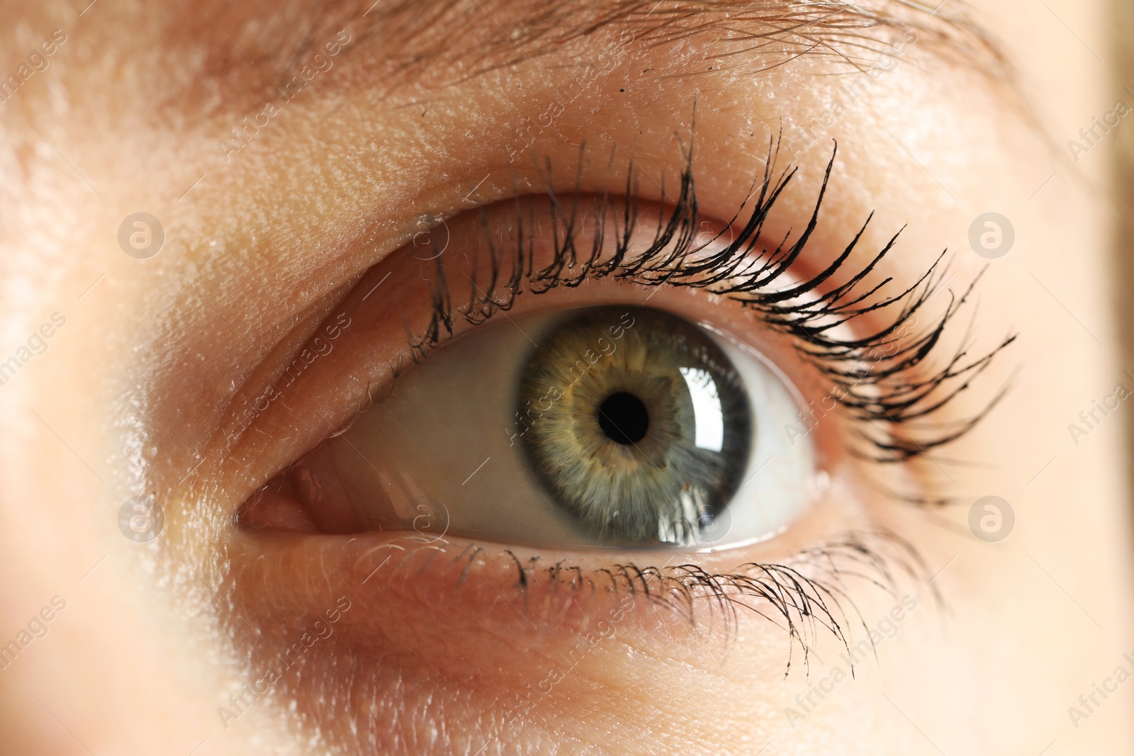 Photo of Macro photo of woman with beautiful eyes