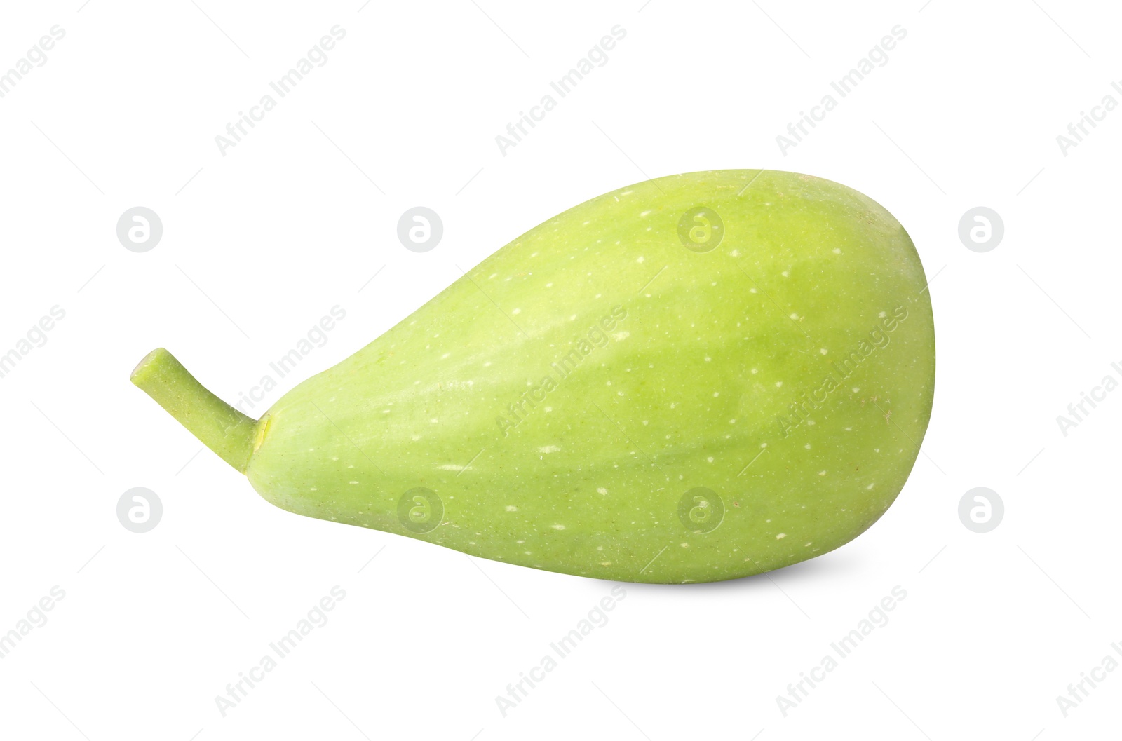 Photo of One fresh green fig isolated on white